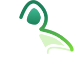 Les créations de Robyne